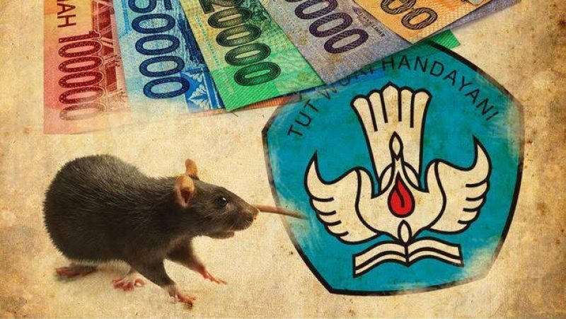 images - 2021-06-12T131828.587